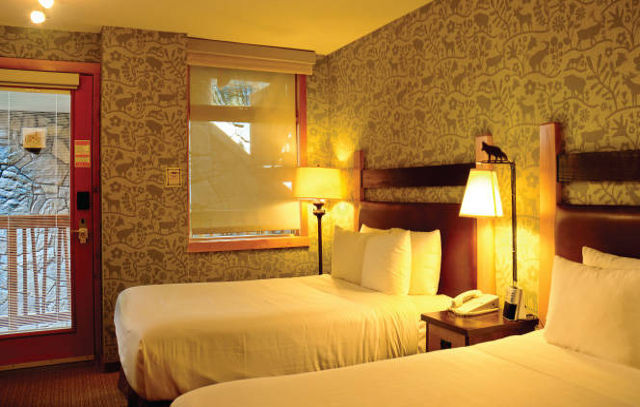 Fox And 4* Banff